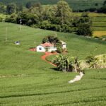 STJ define que cabe ao devedor provar que imóvel rural é explorado pela família e não pode ser penhorado
